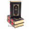 Библиотека приключений в 43 томах. Подарочные книги в кожаном переплете.