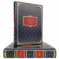 Ван Гог - Жизнь (в 2 томах). Книги в кожаном переплёте
