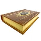 Виктор Гюго - Собрание сочинений 11 томов. Книги в кожаном переплёте