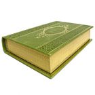 Виктор Гюго - Собор Парижской Богоматери. Книга в кожаном переплёте