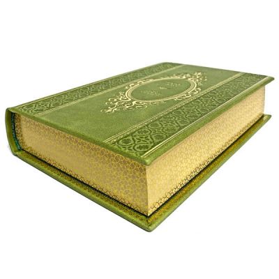 Виктор Гюго - Собор Парижской Богоматери. Книга в кожаном переплёте