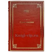 Джефри Лайф - План жизни. Книга в кожаном переплете