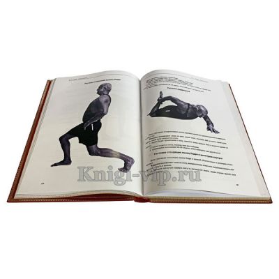 Джефри Лайф - План жизни. Книга в кожаном переплете