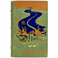 Энн Тайлер - Уксусная девушка. Подарочная книга в кожаном переплете ручной работы