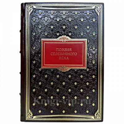 Поэзия серебряного века. Книга в кожаном переплете