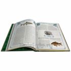 Леонид Сабанеев - Большая книга русской рыбалки (русская рыбалка). Книга в кожаном переплете ручной работы и подарочной коробке