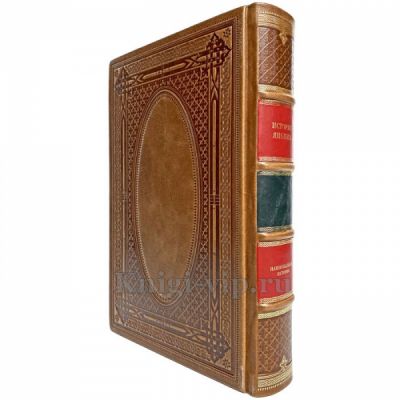 История Швеции. Эксклюзивная книга в кожаном переплёте