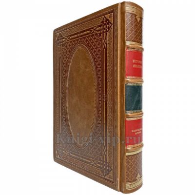 История Венгрии. Эксклюзивная книга в кожаном переплёте