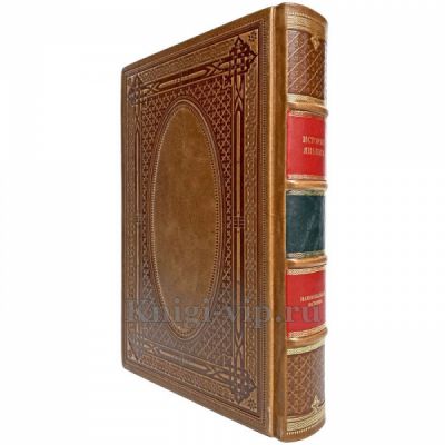 История Франции. Эксклюзивная книга в кожаном переплёте