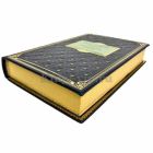 Гейнц Гудериан - Воспоминания солдата. Книга в кожаном переплёте