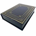 Александр Беляев - Научно-фантастические романы. Книга в кожаном переплёте