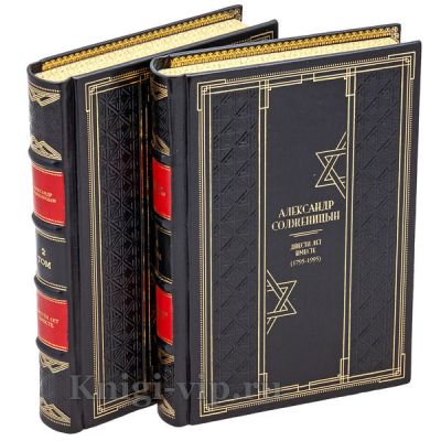 Александр Солженицын. Двести лет вместе в 2 томах (в футляре). Книги в кожаном переплёте.