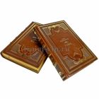 Лион Фейхтвангер - Успех в 2 томах. Подарочные книги в кожаном переплете ручной работы