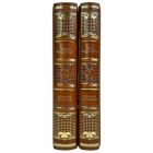 Лион Фейхтвангер - Успех в 2 томах. Подарочные книги в кожаном переплете ручной работы