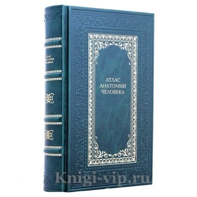Атлас Анатомии Человека. Подарочная книга в кожаном переплёте