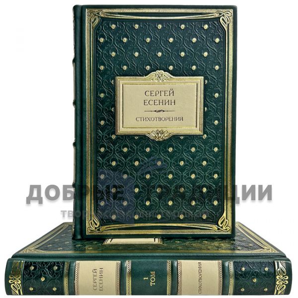 Sergey Yesenin: Poems in 2 volumes. Gift books bound in leather