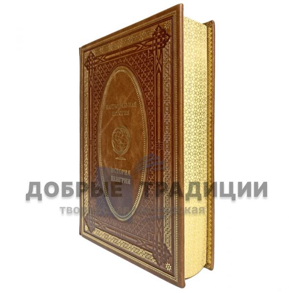 The history of Hungary. Gift book bound in leather