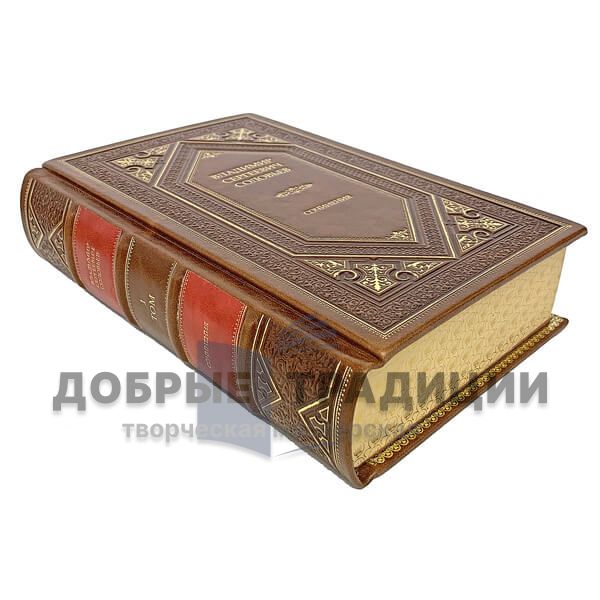 V. S. Soloviev. Works in 2 volumes. Gift books bound in leather.