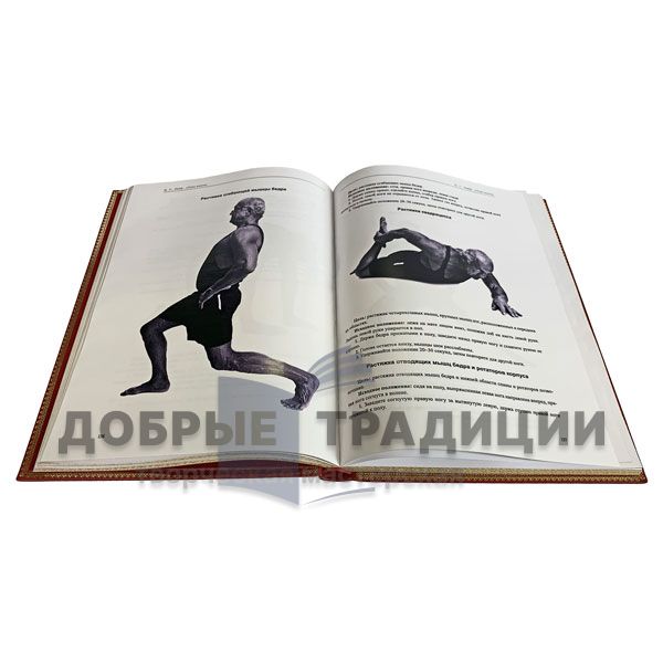 Джефри Лайф - План жизни. Подарочная книга в кожаном переплете