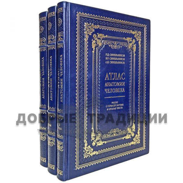 Atlas of Human Anatomy in 3 volumes. Sinelnikov. Gift books bound in leather