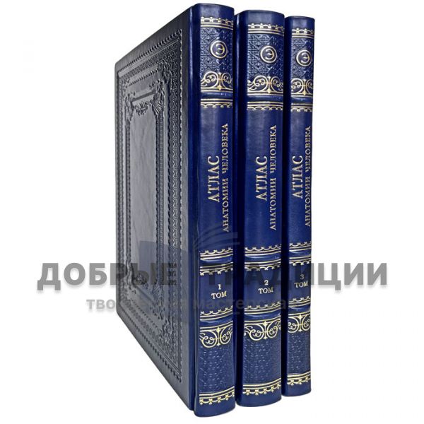 Atlas of Human Anatomy in 3 volumes. Sinelnikov. Gift books bound in leather