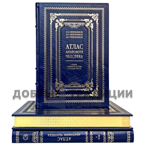 Atlas of Human Anatomy in 3 volumes. Sinelnikov. Gift books bound in leather