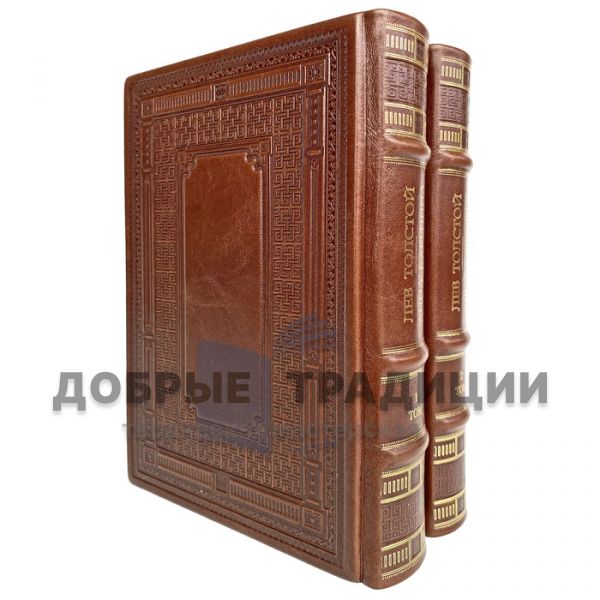 Leo Tolstoy - Anna Karenina (2 volumes). Gift books bound in leather