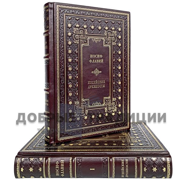  Josephus Flavius -  Jewish antiquities in 2 volumes. Gift books bound in leather