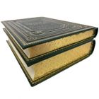 История Сибири в 2 томах. Книги в кожаном переплёте.